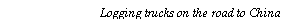 Text Box: Logging trucks on the road to China 