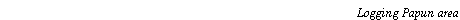 Text Box: Logging Papun area