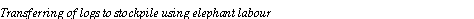 Text Box: Transferring of logs to stockpile using elephant labour