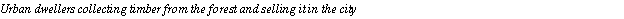 Text Box: Urban dwellers collecting timber from the forest and selling it in the city