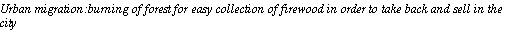 Text Box: Urban migration:burning of forest for easy collection of firewood in order to take back and sell in the city