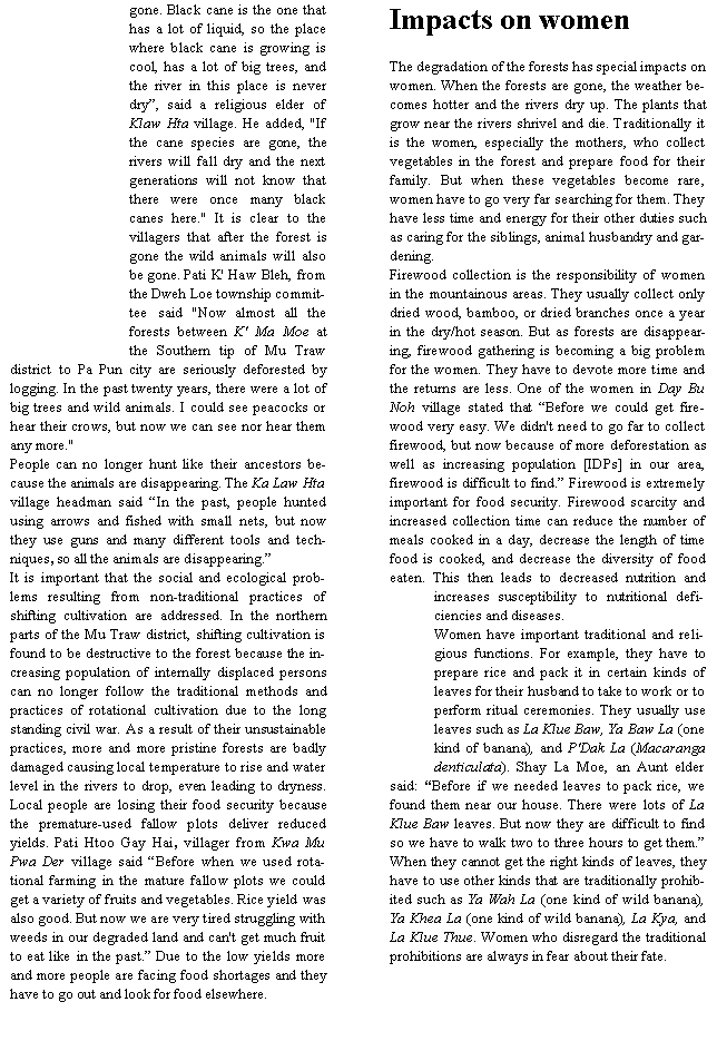 Text Box: gone. Black cane is the one that has a lot of liquid, so the place where black cane is growing is cool, has a lot of big trees, and the river in this place is never dry�, said a religious elder of Klaw Hta village. He added, "If the cane species are gone, the rivers will fall dry and the next generations will not know that there were once many black canes here." It is clear to the villagers that after the forest is gone the wild animals will also be gone. Pati K' Haw Bleh, from the Dweh Loe township committee said "Now almost all the forests between K' Ma Moe at the Southern tip of Mu Traw district to Pa Pun city are seriously deforested by logging. In the past twenty years, there were a lot of big trees and wild animals. I could see peacocks or hear their crows, but now we can see nor hear them any more."People can no longer hunt like their ancestors because the animals are disappearing. The Ka Law Hta village headman said �In the past, people hunted using arrows and fished with small nets, but now they use guns and many different tools and techniques, so all the animals are disappearing.�It is important that the social and ecological problems resulting from non-traditional practices of shifting cultivation are addressed. In the northern parts of the Mu Traw district, shifting cultivation is found to be destructive to the forest because the increasing population of internally displaced persons can no longer follow the traditional methods and practices of rotational cultivation due to the long standing civil war. As a result of their unsustainable practices, more and more pristine forests are badly damaged causing local temperature to rise and water level in the rivers to drop, even leading to dryness. Local people are losing their food security because the premature-used fallow plots deliver reduced yields. Pati Htoo Gay Hai, villager from Kwa Mu Pwa Der village said �Before when we used rotational farming in the mature fallow plots we could get a variety of fruits and vegetables. Rice yield was also good. But now we are very tired struggling with weeds in our degraded land and can't get much fruit to eat like in the past.� Due to the low yields more and more people are facing food shortages and they have to go out and look for food elsewhere.Impacts on womenThe degradation of the forests has special impacts on women. When the forests are gone, the weather becomes hotter and the rivers dry up. The plants that grow near the rivers shrivel and die. Traditionally it is the women, especially the mothers, who collect vegetables in the forest and prepare food for their family. But when these vegetables become rare, women have to go very far searching for them. They have less time and energy for their other duties such as caring for the siblings, animal husbandry and gardening.Firewood collection is the responsibility of women in the mountainous areas. They usually collect only dried wood, bamboo, or dried branches once a year in the dry/hot season. But as forests are disappearing, firewood gathering is becoming a big problem for the women. They have to devote more time and the returns are less. One of the women in Day Bu Noh village stated that �Before we could get firewood very easy. We didn't need to go far to collect firewood, but now because of more deforestation as well as increasing population [IDPs] in our area, firewood is difficult to find.� Firewood is extremely important for food security. Firewood scarcity and increased collection time can reduce the number of meals cooked in a day, decrease the length of time food is cooked, and decrease the diversity of food eaten. This then leads to decreased nutrition and increases susceptibility to nutritional deficiencies and diseases. Women have important traditional and religious functions. For example, they have to prepare rice and pack it in certain kinds of leaves for their husband to take to work or to perform ritual ceremonies. They usually use leaves such as La Klue Baw, Ya Baw La (one kind of banana), and P'Dak La (Macaranga denticulata). Shay La Moe, an Aunt elder said: �Before if we needed leaves to pack rice, we found them near our house. There were lots of La Klue Baw leaves. But now they are difficult to find so we have to walk two to three hours to get them.� When they cannot get the right kinds of leaves, they have to use other kinds that are traditionally prohibited such as Ya Wah La (one kind of wild banana), Ya Khea La (one kind of wild banana), La Kya, and La Klue Thue. Women who disregard the traditional prohibitions are always in fear about their fate. 