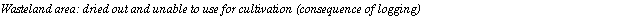 Text Box: Wasteland area: dried out and unable to use for cultivation (consequence of logging)