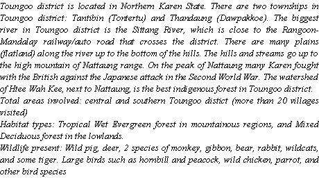 Text Box: Toungoo district is located in Northern Karen State. There are two townships in Toungoo district: Tantibin (Tontertu) and Thandaung (Dawpakkoe). The biggest river in Toungoo district is the Sittang River, which is close to the Rangoon-Mandalay railway/auto road that crosses the district. There are many plains (flatland) along the river up to the bottom of the hills. The hills and streams go up to the high mountain of Nattaung range. On the peak of Nattaung many Karen fought with the British against the Japanese attack in the Second World War. The watershed of Htee Wah Kee, next to Nattaung, is the best indigenous forest in Toungoo district.Total areas involved: central and southern Toungoo distict (more than 20 villages visited)Habitat types: Tropical Wet Evergreen forest in mountainous regions, and Mixed  Deciduous forest in the lowlands.Wildlife present: Wild pig, deer, 2 species of monkey, gibbon, bear, rabbit, wildcats, and some tiger. Large birds such as hornbill and peacock, wild chicken, parrot, and other bird species