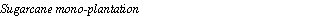 Text Box: Sugarcane mono-plantation